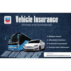 Vehicle Insurance