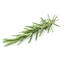 Rosemary (One Twig)