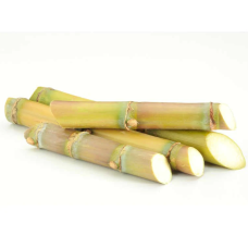 Sugarcane (Large Stick  Pack of 4)