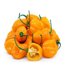 Habanero Pepper yellow /Cameroon Pepper (Half Derica)