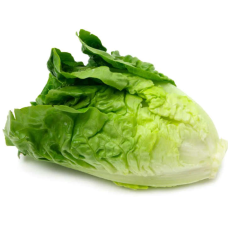 Lettuce (One Medium Sized Bunch)