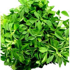 Efo-gbure (Waterleaf 500g)