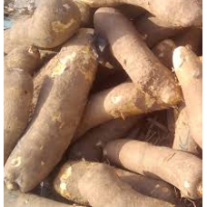 Yam (14 - 16tubers)- For orders above N100 000 ONLY