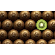 Kiwi fruits ( 1 pack of 4 fruits )