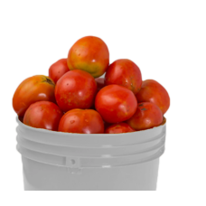 Esa Tomatoes Paint Bucket