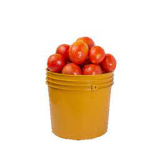 Tomatoes (H/Paint Bucket)