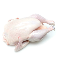 Whole Live Chicken Broiler