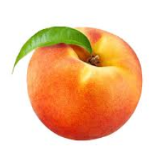 Peach (Pack of 6)