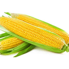 Fresh Corn ( 3 in 1)