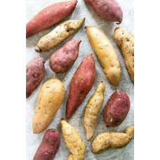 Sweet Potatoes Red 5pcs