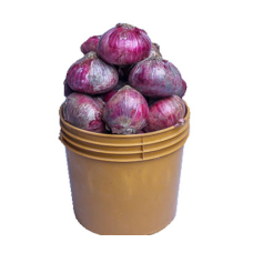 Onions/Red Onions (1 small Paint Bucket )