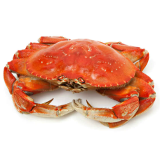 Fresh Giant Crabs 1kg