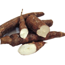 Cassava