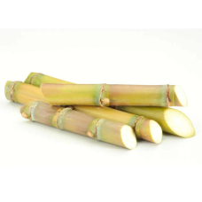 Sugarcane (Small Stick  Pack of 4)