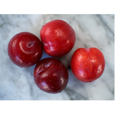 Plums (Pack of 4)