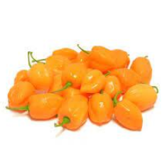 Habanero Pepper yellow /Cameroon Pepper (One Derica)