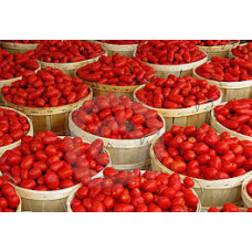 Tomatoes - Full Basket- For orders above N100 000 only