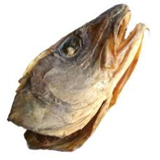 Stock Fish Head