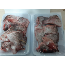 Snapper Fish appr. 10 - 15 medium sized slices